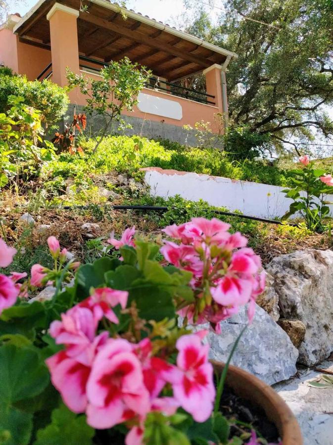 Villa Stefanos apartments Glyfa Exterior foto