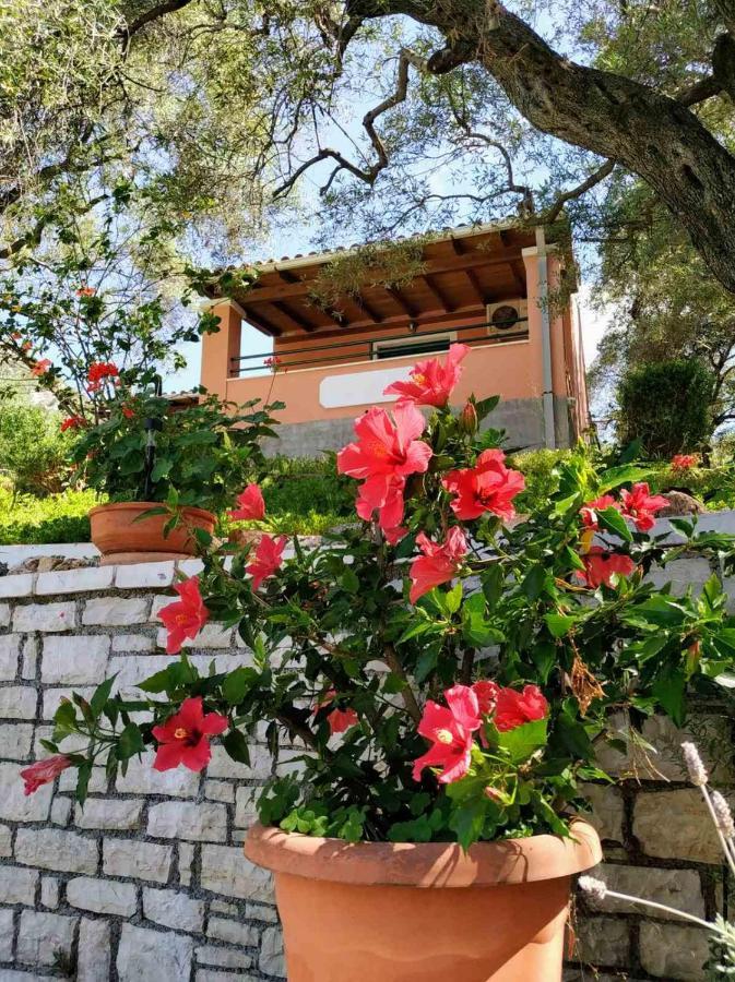 Villa Stefanos apartments Glyfa Exterior foto