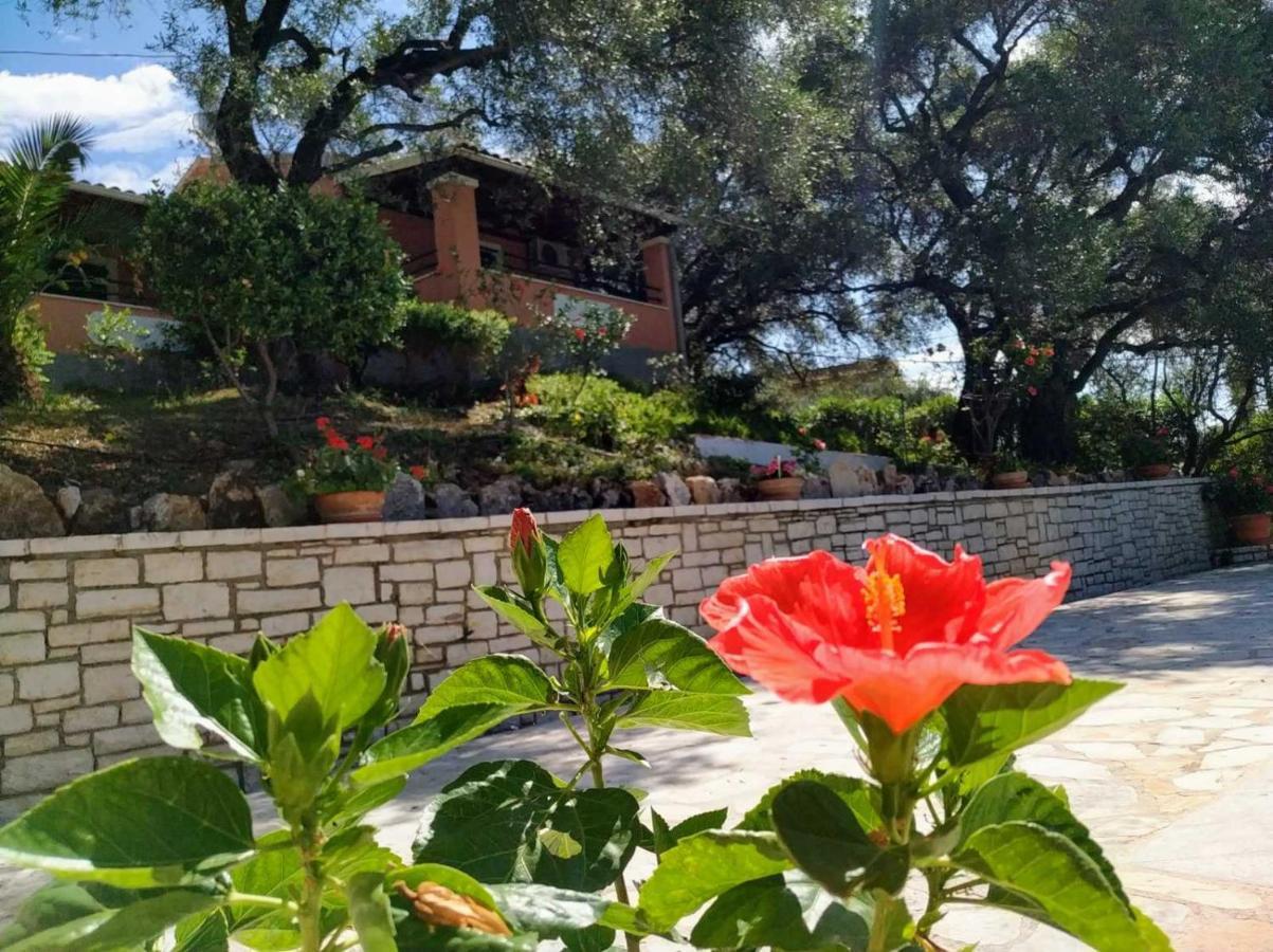 Villa Stefanos apartments Glyfa Exterior foto
